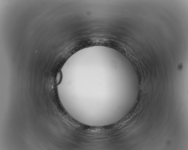 X0000090880567200707271019