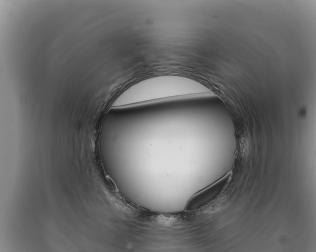 X0000090880570200707271019