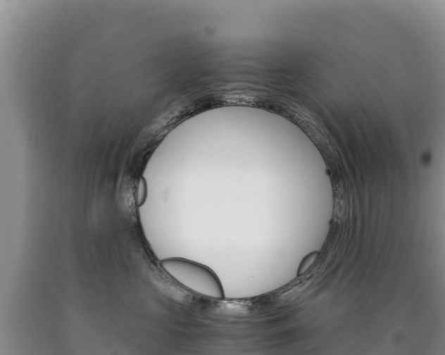 X0000090880573200707271019