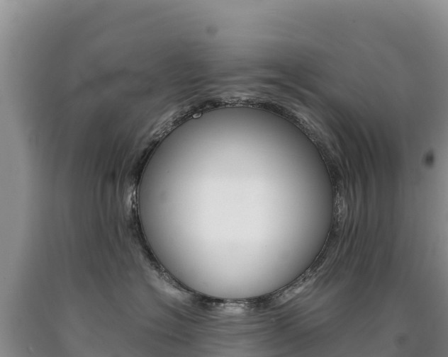 X0000090880574200707271019