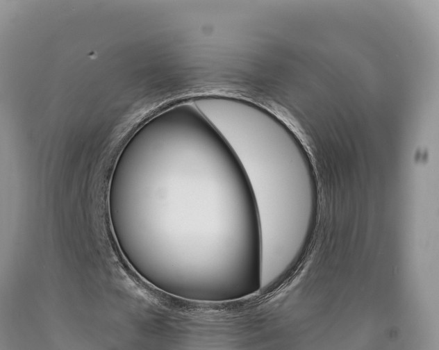 X0000090880577200707271019