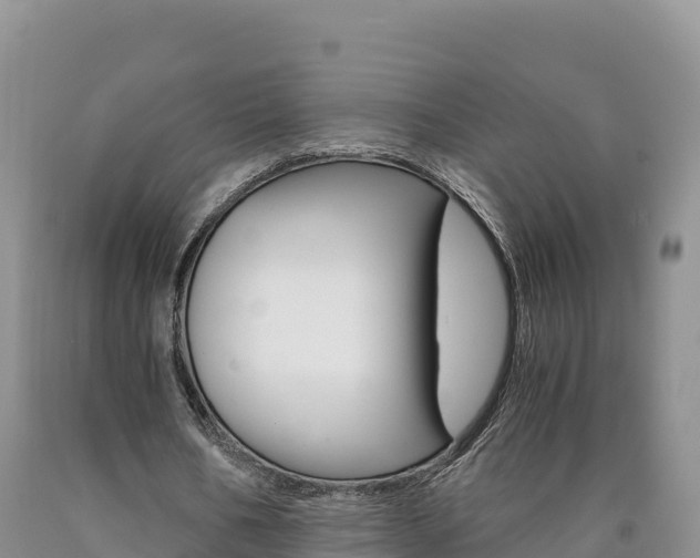X0000090880578200707271019