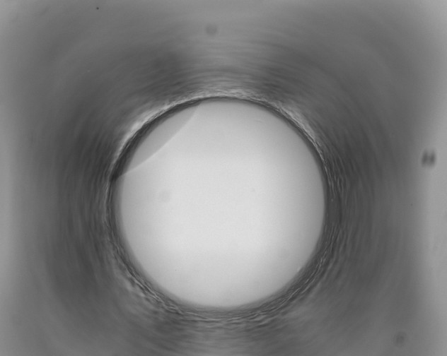X0000090880579200707271019