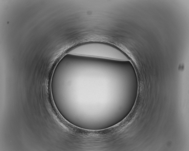 X0000090880581200707271018