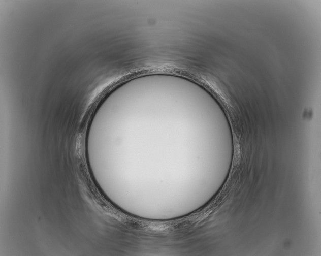 X0000090880583200707271018