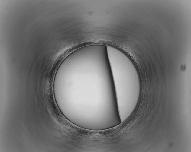 X0000090880587200707271018