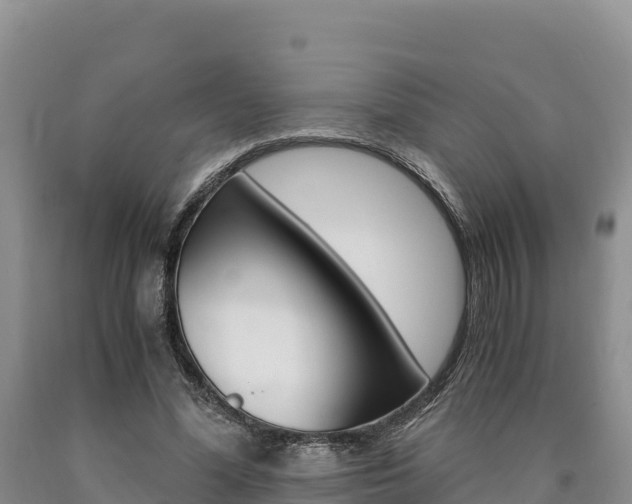 X0000090880588200707271018