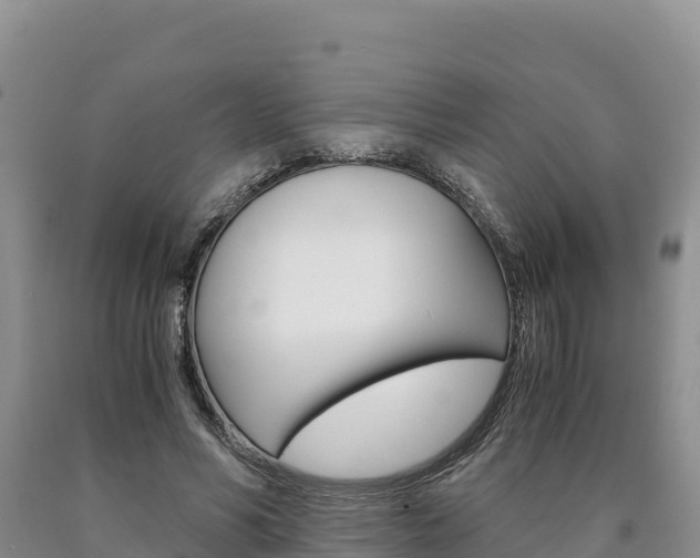 X0000090880590200707271018