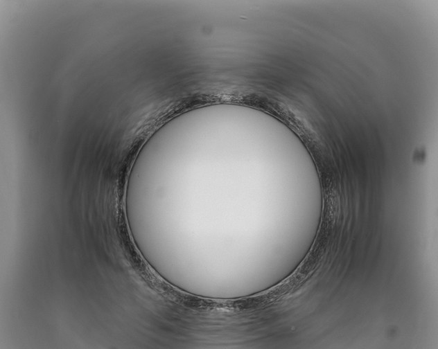 X0000090880594200707271018