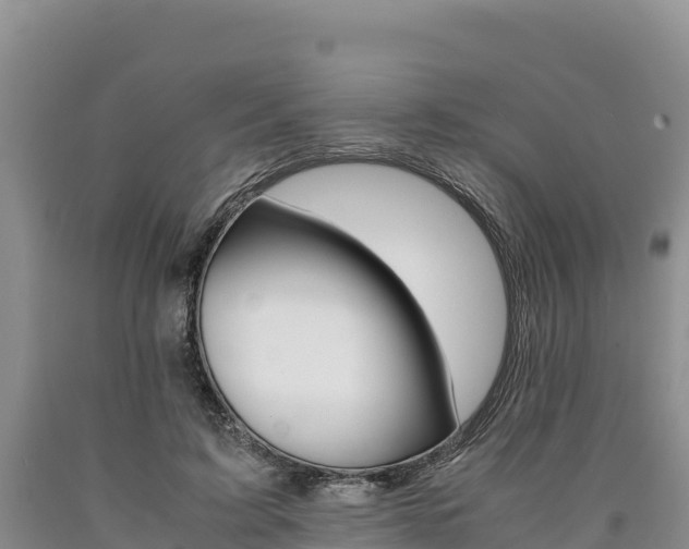 X0000090880595200707271018