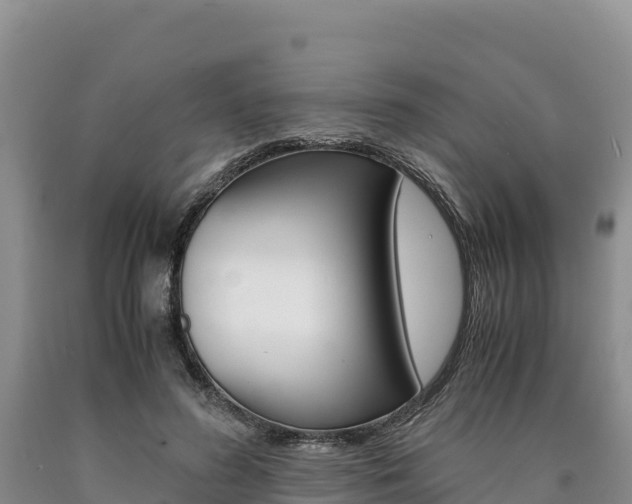 X0000090880596200707271018
