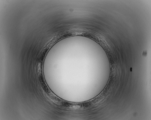 X0000090880598200707271018