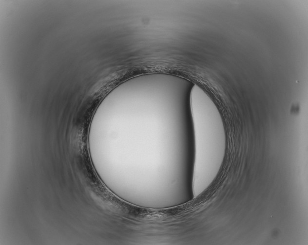 X0000090880599200707271018