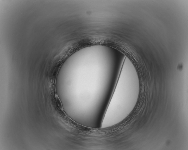 X0000090880601200707271018
