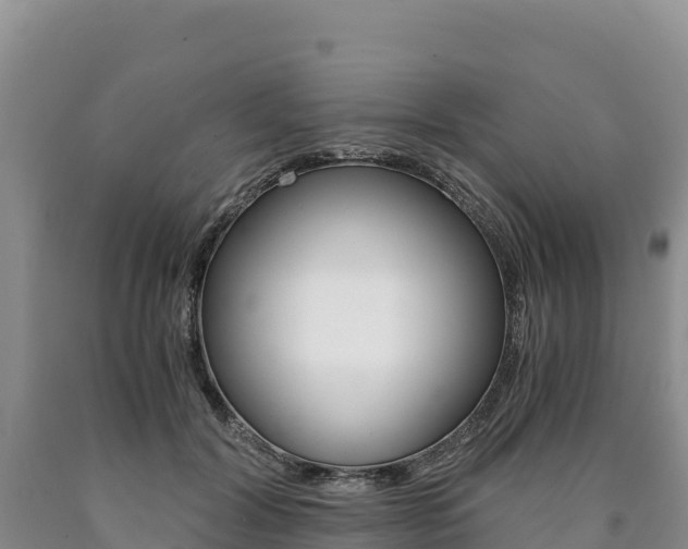 X0000090880604200707271018