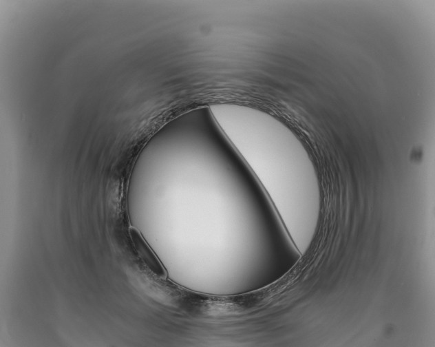 X0000090880605200707271018