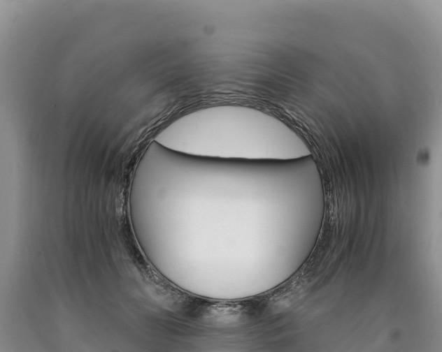 X0000090880606200707271018