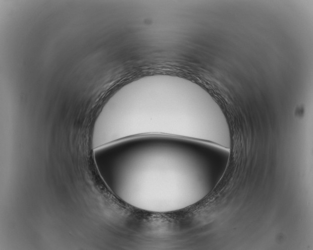X0000090880608200707271018