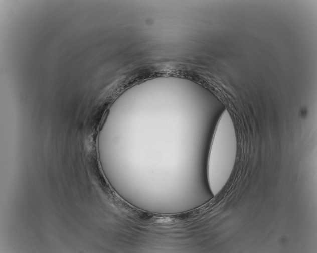 X0000090880611200707271018
