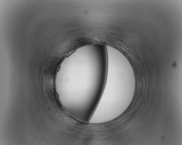 X0000090880613200707271018