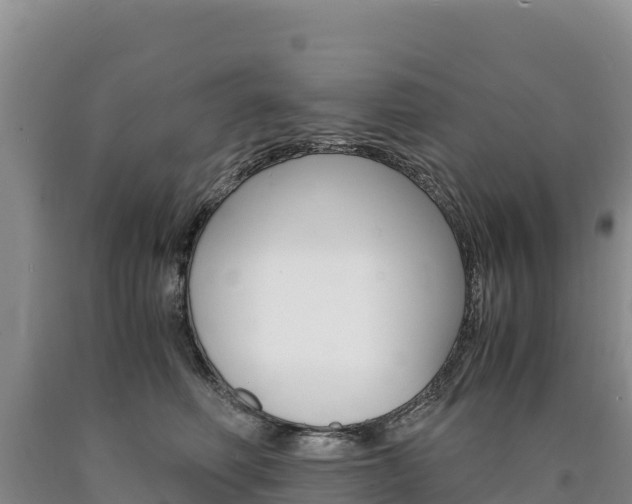 X0000090880614200707271018