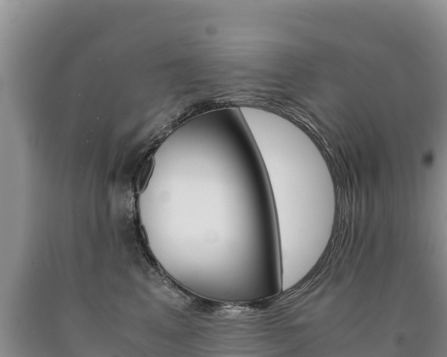 X0000090880617200707271018
