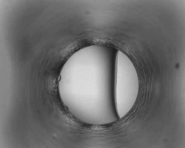 X0000090880619200707271018