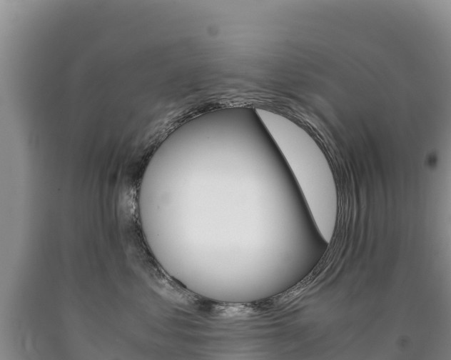 X0000090880621200707271018