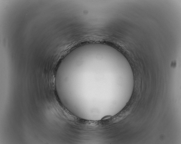 X0000090880624200707271018