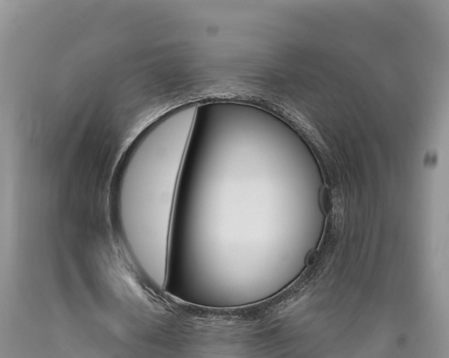 X0000090880626200707271017