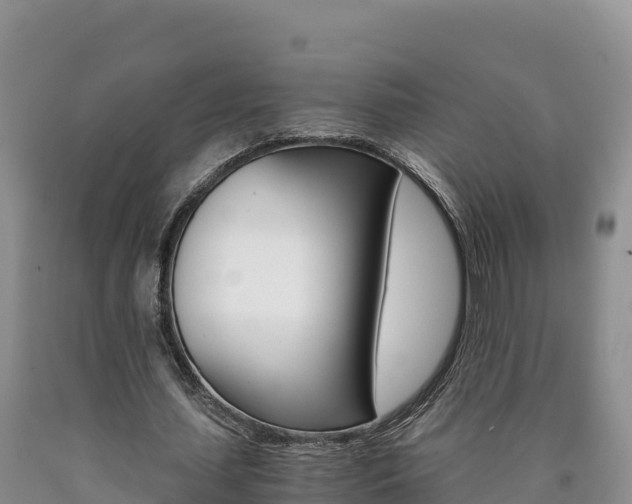X0000090880627200707271017