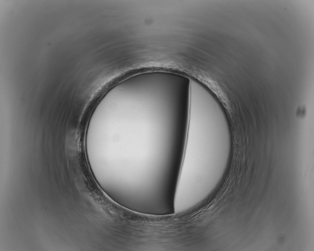 X0000090880628200707271017
