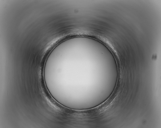 X0000090880629200707271017