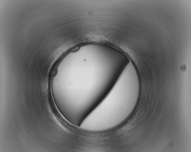 X0000090880630200707271017