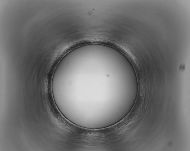 X0000090880631200707271017
