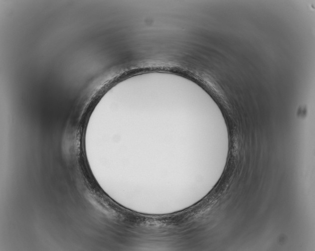 X0000090880632200707271017