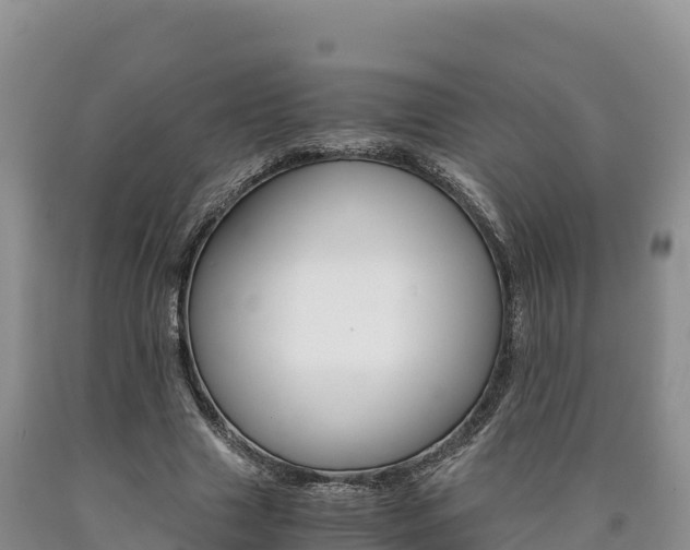 X0000090880633200707271017