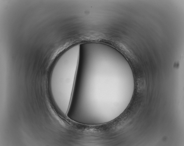 X0000090880634200707271017