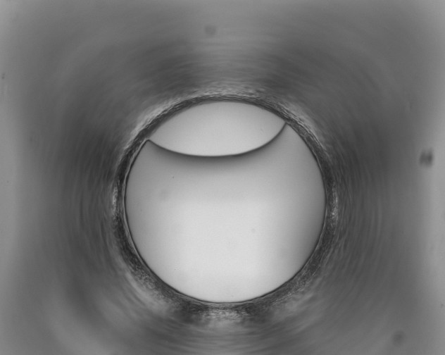 X0000090880636200707271017