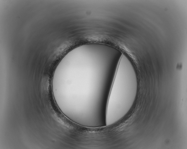 X0000090880637200707271017