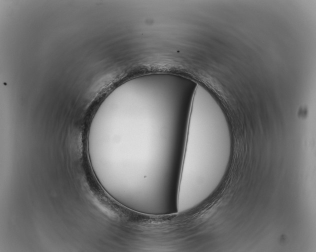 X0000090880638200707271017