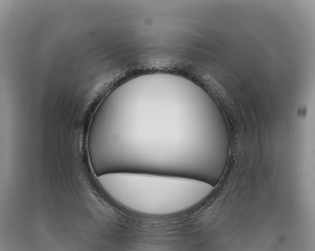 X0000090880640200707271017
