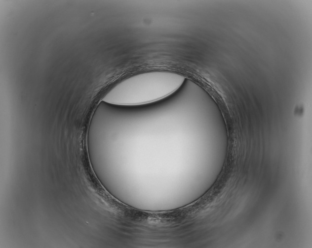 X0000090880641200707271017