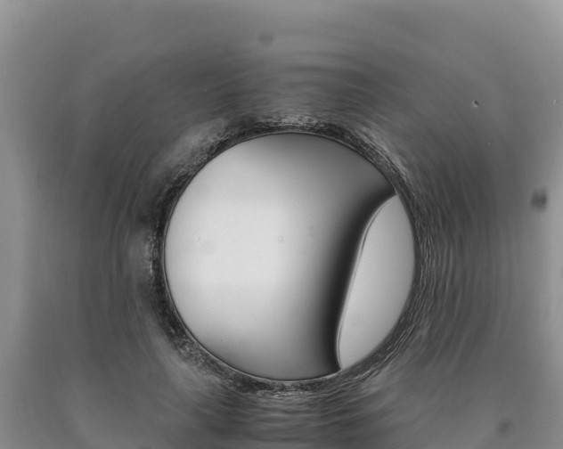 X0000090880643200707271017