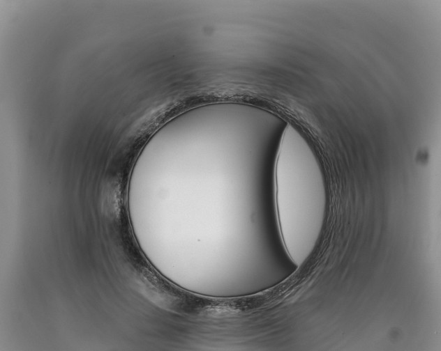 X0000090880644200707271017