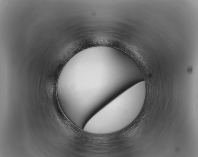 X0000090880645200707271017