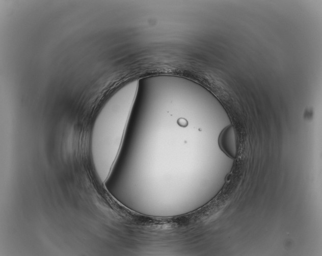 X0000090880646200707271017