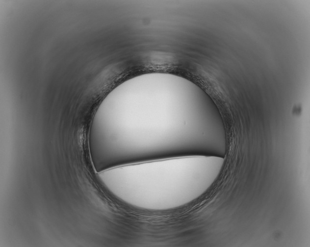 X0000090880647200707271017