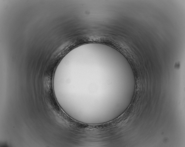 X0000090880648200707271017