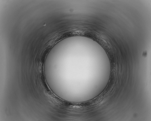 X0000090880649200707271017